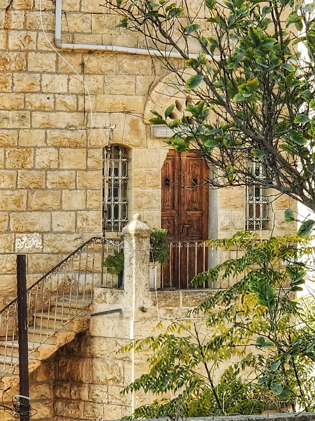 #yousef_odeh_photos #تصوير_يوسف_عودة💜 #تصوير_احترافي #abooodo_80 #تصوير_يوسف_عودة 