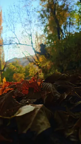 #önealtiktok #tiktokviral #keşfetönealtiktok #fypシ゚ #fypシ゚viral🖤tiktok☆♡🦋myvideo 