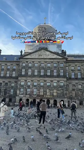 ✈️🇫🇷🇪🇺🇸🇮🇨🇿🇵🇹🇷🇴🇪🇸🇩🇪🇳🇱🥹❤️‍🩹#بيكا_في_هولندا #مصر🇪🇬 #foruyou #هولندا🇳🇱 