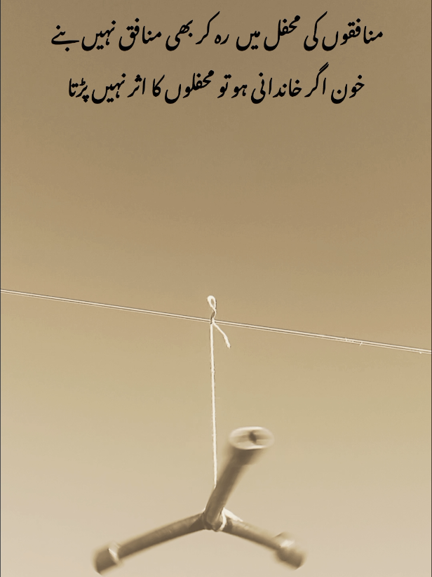 Aho 💯#yasirchakwal7 #fyp #foryoupage#viral#foryou 