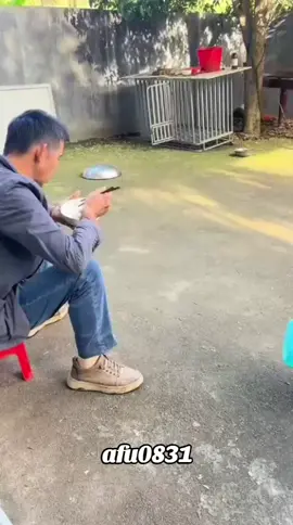 #粉丝一千万 #dog #cute #foryou #viral 