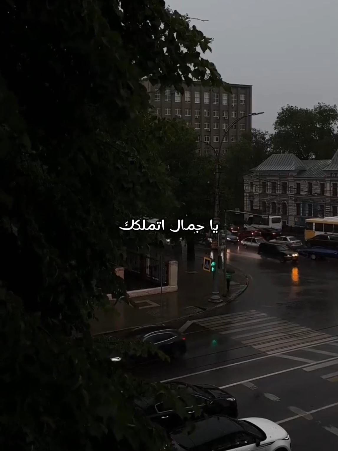 الك يا صاحب الزمان 💙 #ذوالفقار_الكعبي #محمد_باقر_الخاقاني #اللهم_عجل_لوليك_الفرج #سيد_سلام_الحسيني #سيد_فاقد_الموسوي 