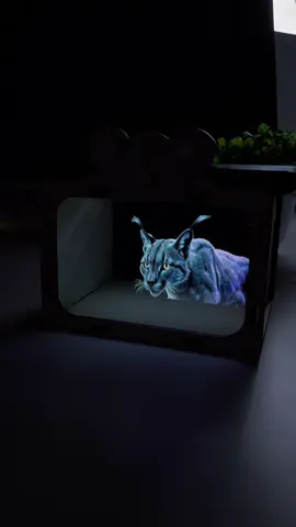 Hộp chiếu phim Hologram 3D đồ chơi cho các bé,với chất liệu gỗ ,lắp đặt đơn giản #hopchieuphim3d #hopchieuphimhologram 