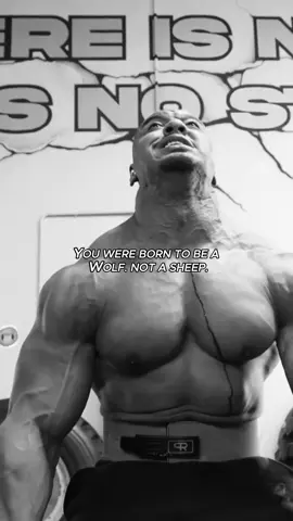 Be a Wolf not a sheep  #testosterone #gym #thegodmindset 
