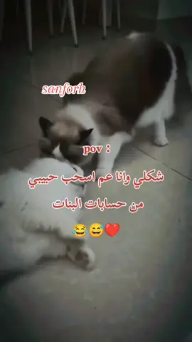 #الشعب_الصيني_ماله_حل😂😂 #foryoupageofficially #explore #viralvideos #اكسبلورexplo 