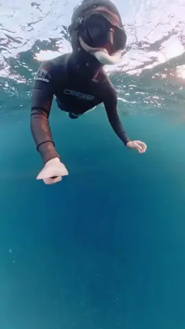 😦😅😂#animallover #virall #fyp #tiktokviral #4u 