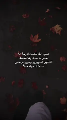 نعم🩶#قونيا________________قونيا😌💙 #تصويري 