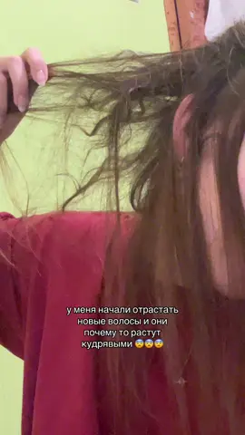 у меня весь затылок кудрявый?? вот до чего довело общение с кудрявыми  людьми