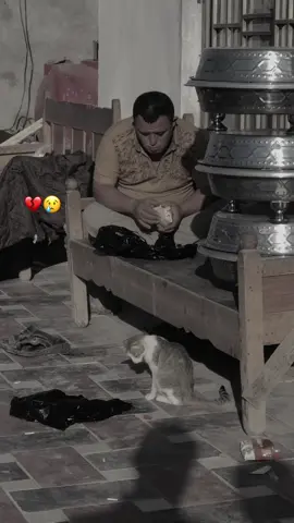 روح جميله 💕                                                                                     ً.                      جمال الروح .. أن 