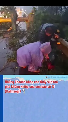 Ngay trong chiều nay (6/11), khi tâm bão còn ngoài khơi, tại nhiều địa điểm như Gia Lai, Phú Yên, Quảng Ngãi, Quy Nhơn... gió giật dữ dội, mưa xối xả, cây ngã đổ, kính vỡ, thậm chí có nơi xuất hiện lốc xoáy. Đến tối, nhiều khu vực đã mất điện, mọi thứ chìm trong bóng tối giữa tiếng gió rít không ngớt, cho thấy cường độ mạnh cũng như mức độ tàn phá của cuồng phong Kalmaegi. #videoviral #tintuc24h #baoso13 #kalmaegi #xuhuong 