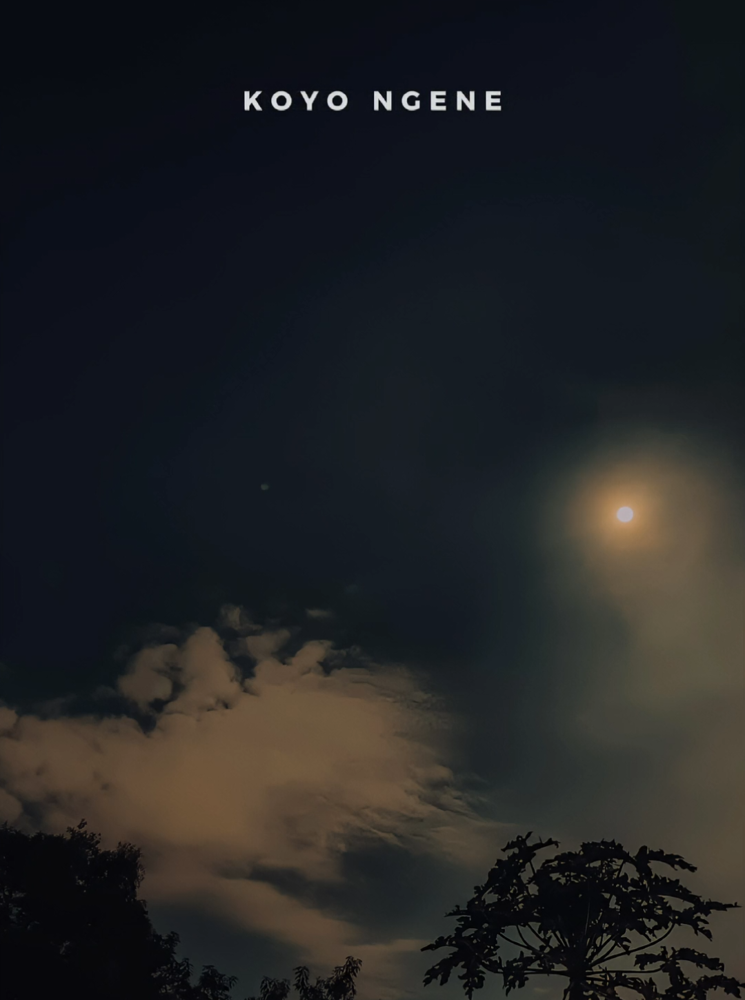 tidak baik membaca ulang kembali sebuah buku, hanya karena merindukan bab awalnya saja🥀 #overlay #liriklagu 