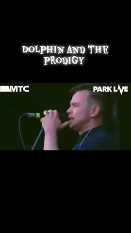 #TheProdigy#90#music#dolphin