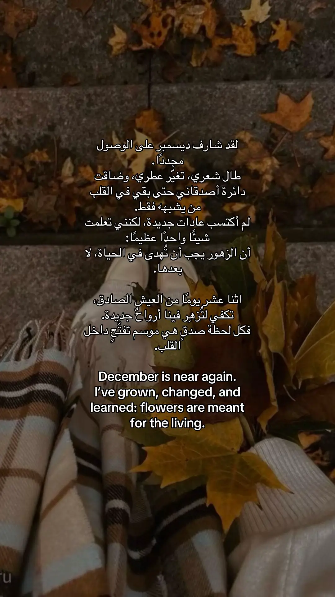 #creatorsearchinsights  #الحمدلله_دائماً_وابداً #يارب❤️ #لااله_الا_انت_سبحانك_اني_كنت_من_ظالمين #ديسمبر 