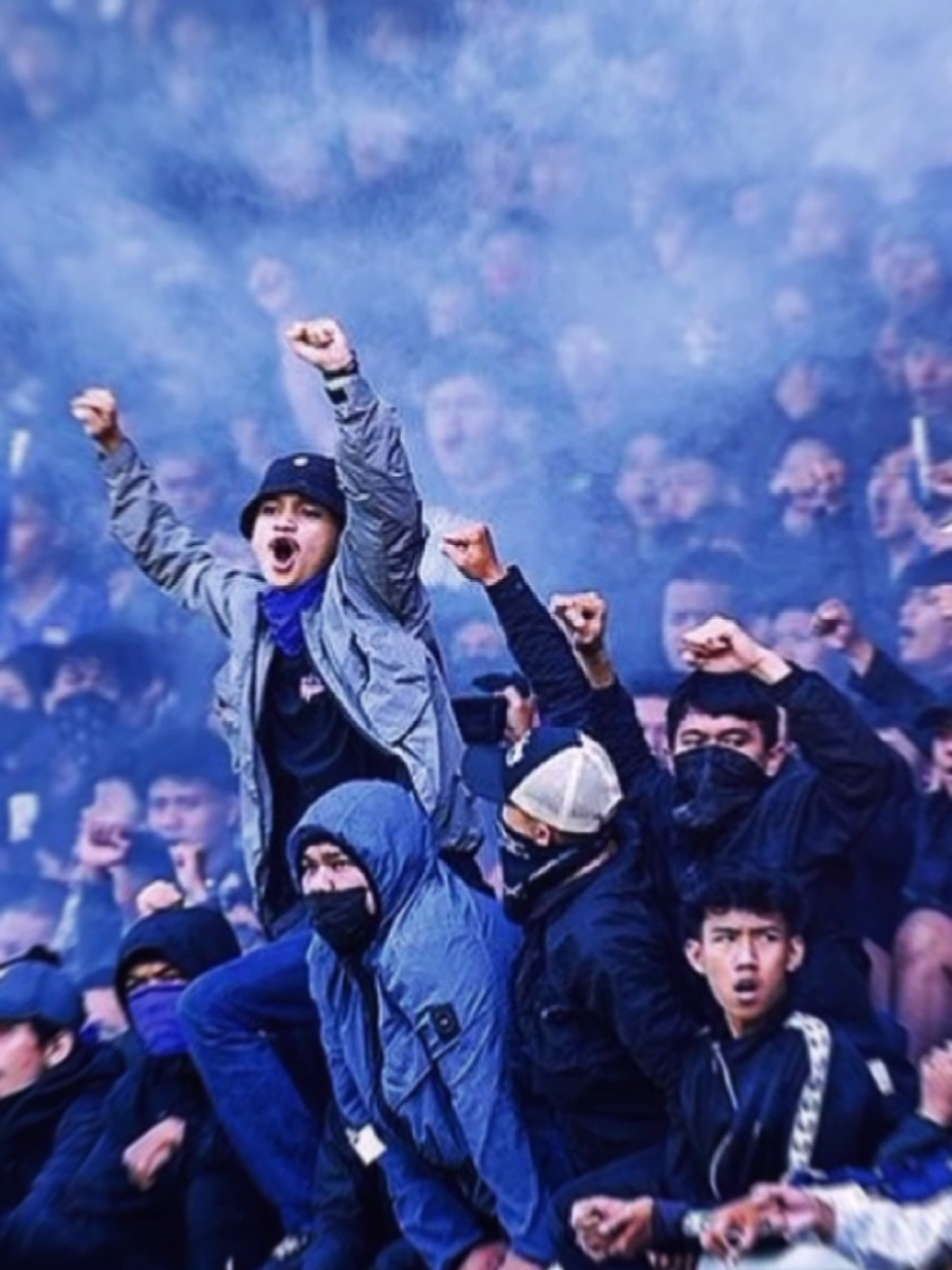 Indonesia mentality☠️👊#persibbandung #selangor #persib #bobotoh 