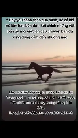 Không ai bắt đầu đã hoàn hảo, chỉ có cố gắng và trở nên hoàn hảo.