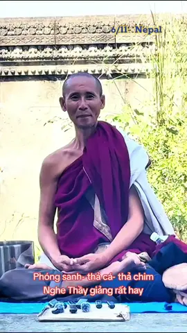 Thầy bậm môi cưng xỉu 🥰🥰 #xuhuong #thichminhtue #gaimienque ☘️🌸