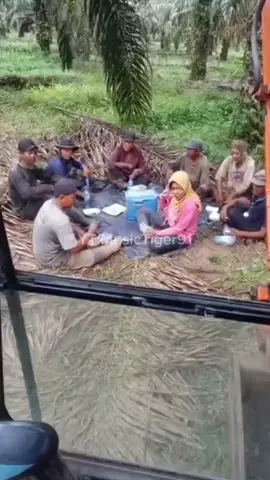 🐅🐯#fyppppppppppppppppppppppp #fyp #harimau 