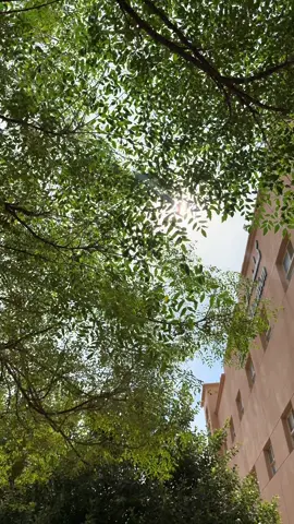 يوم الخميس 🫠 @vo_caffee @الـفـه #explor #fyppppppppppppppppppppppp #fypシ #fyp #explore 