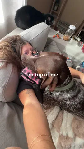 #gspsoftiktok #dogsoftiktok #gsplife #dogsoftiktokviral #fyp 