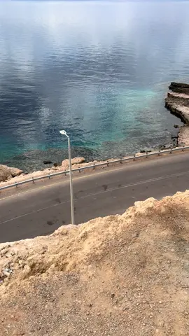 #حقل #تبوك #paratii #fypシ゚ #fyp 