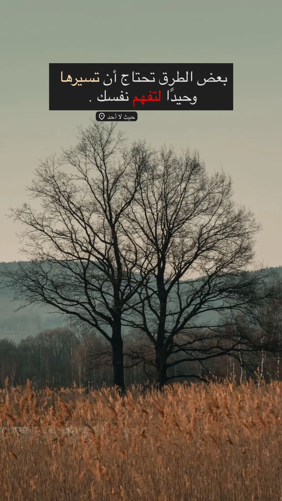 #كن_ذا_أثر #عبارات #مالي_خلق_احط_هاشتاقات #شعور #شعر 