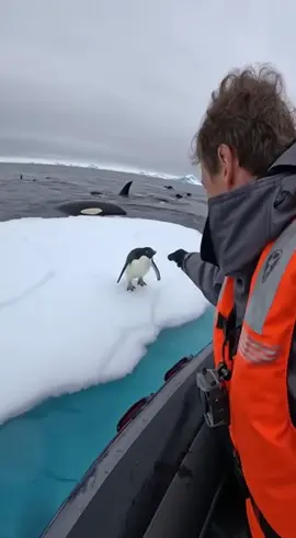 #epicrescue #heartwarming #viralvideo #fyp 