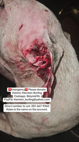 PLEASE HELP ADAM😭#trending #viral #fyp #emergency 