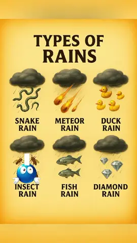 🌎 DISCOVER TYPES OF RAINS🌧️ . . #foryou #typesofrains #viewsproblem #fypシ゚ #viralvideo 