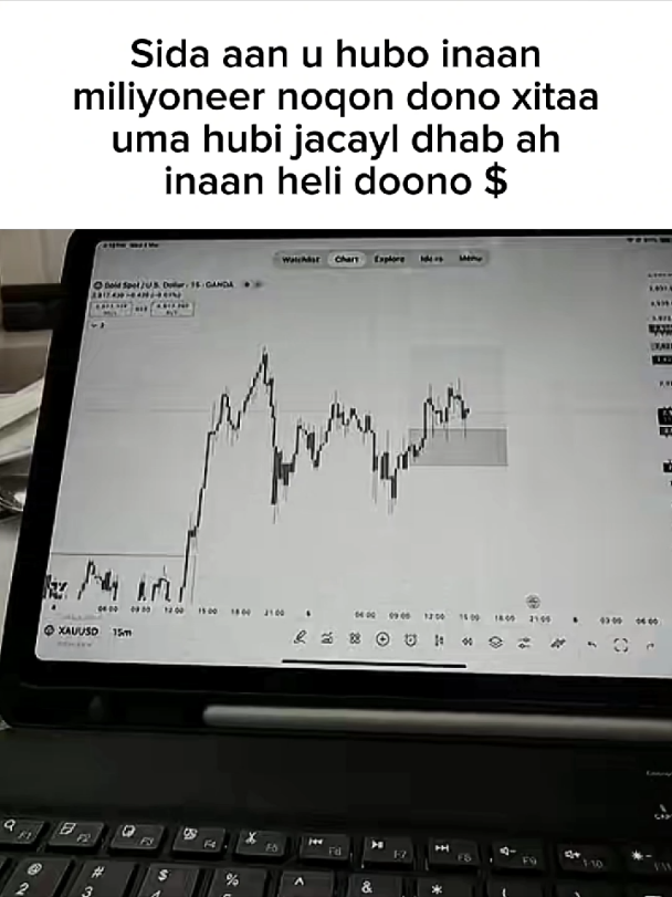 #forex #Trader #fx #trading 