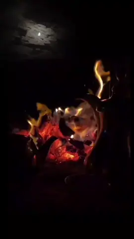 #شعر #اكسبلور 