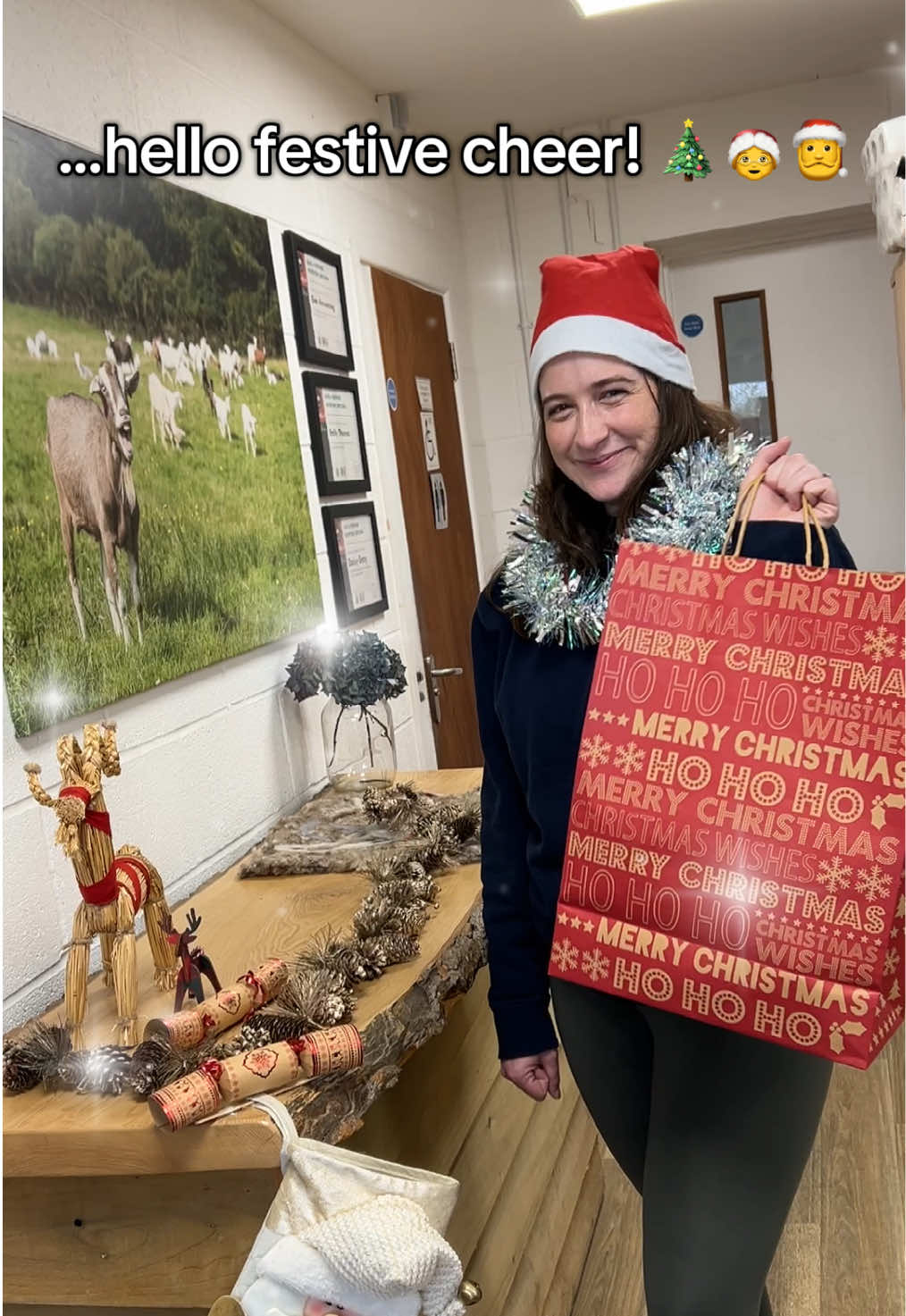 When Halloween ends, Mariah Carey awakens. 🎤❄️ #christmas #chucklinggoat #halloween #mariahcarey #funnyreel 