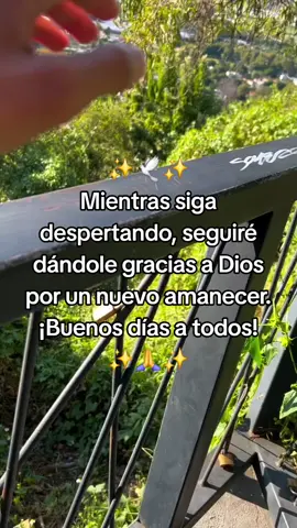 #bendecidodia🙏🙏🙏🌞♥️ #bonitoamanecer #bendiciones🌹❤️🙌🏻🙌🏻🙏 #quediostebendiga❤siempre #frasesmotivadoras 