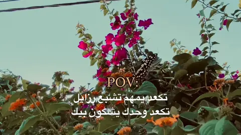 كلشي جربت#تعبت_على_الفيديو #تصويري_احترافي_الاجواء👌🏻🕊😴 #متابعه_ولايك_واكسبلور_احبكم #تفاعلكم اخوتي