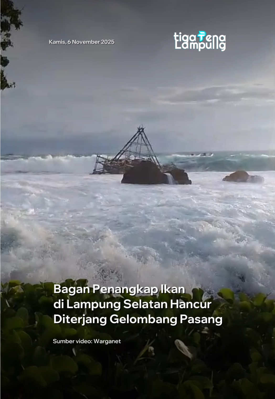 Detik-detik bagan penangkap ikan di pesisir Desa Merak Belantung, Kecamatan Kalianda, Lampung Selatan, hancur dihantam gelombang pasang terekam warga setempat pada Kamis (6/11). Dalam video yang beredar, terlihat ombak besar menggulung dan menghantam bagan hingga roboh dan terbawa arus.  Warga sekitar yang menyaksikan kejadian itu hanya bisa pasrah melihat alat tangkap ikan tersebut porak poranda akibat kuatnya gelombang laut sore itu. ... | Tiga Pena Indonesia ___ #LampungSelatan #MerakBelantung #Kalianda #GelombangPasang #InfoLampung     