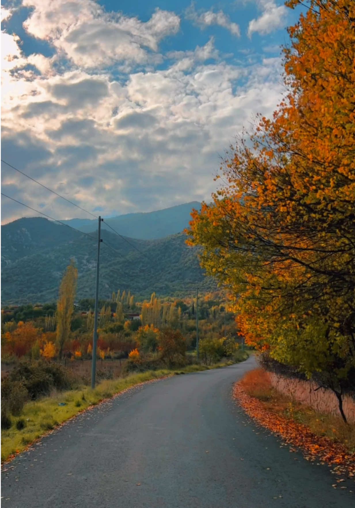 ‎🍁🍂مـتمـانـه‌ جـارێـكه‌ و گـومـان تـه‌مـه‌نێـك...!🍂🍁