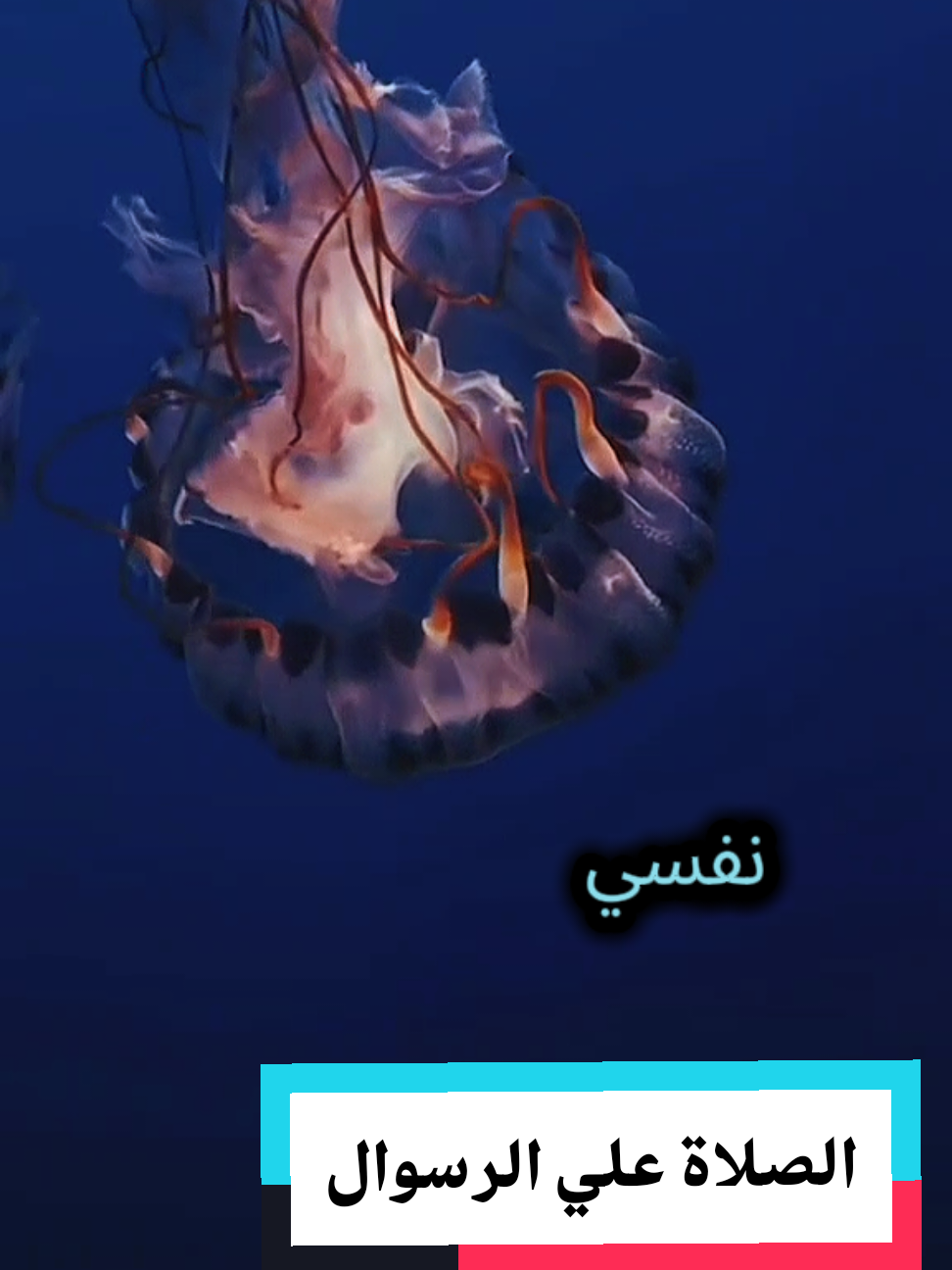 #ليلة_الجمعة #صلوا_على_رسول_الله #القران_الكريم_راحه_نفسية😍🕋 #مالي_خلق_احط_هاشتاقات #اكسبلور 