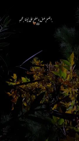 ﮼اللَهمَ﮼صَلَ﮼وَسَلَمْ﮼عَلَىٰ﮼نَبِيَنَا ﮼مُحَمَدٍ ﷺ🤎#سلاوات_لە_سەر_گیان_پێغمبەر_د_خ🤲📿 