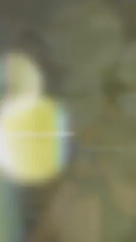 Gaji Lancar Bonus Lancar ,Asia Mamprang ,Club terkaya indonesia 😎..💙 #persibbandung #maungbandung #fyp #Asia #acltwo 