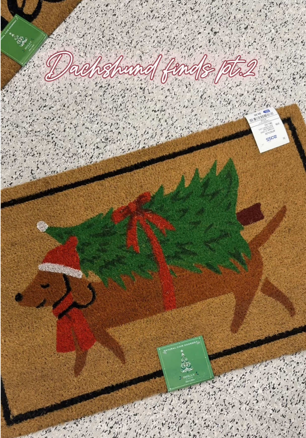 Run to your local @Ross Dress for Less!! #minidachshund #dachshund #ross #rossfinds #rosshaul