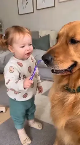 Open Your Mouth Let me Brush Your Teeth  #funny #baby #dog #funnyreels #Parenting 
