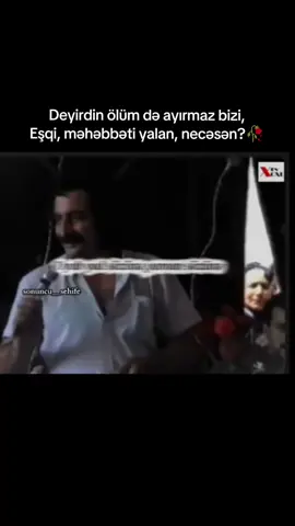 Fikirlər?#mikayılmirzə #necəsən #şeir#sevgi#nostalji 