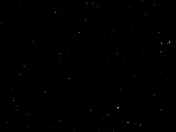 بلاك.🦁☝🏻 #تصميم_فيديوهات🎶🎤🎬 #تصميم_انمي #دراغون_بول #غوكو_بلاك #تيم_هوند 