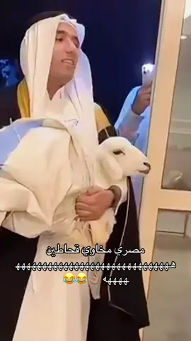 اضحك من قلبك صلوا على رسول الله اذكروا الله قصه قصص منشن اللي تحبه اكسبلور ترند تيك توك مشاهير تفاعل اشتراك #trending #capcut #fyp #funny #foryou Content Creator Insights 2025 السعوديه موسم الرياص  تصميمي تصويري الدمام يزيد الراجحي الضمان حساب المواطن المدينه المنوره مكه جده الدمام ‪الضمان الاجتماعي الهلال النصر الاهلي الاتحاد comedy youtube tiktok like trending insta video love الشعب الصيني ماله حل مصطفى المومري اليمن سوريا العراق لبنان الاردن فلسطين غزه مصر السودان القاهره البحرين الامارات دبي الكويت عمان قطر الدوحه 