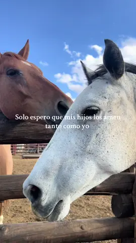 #caballos #deseos #futuro #amor #viral 