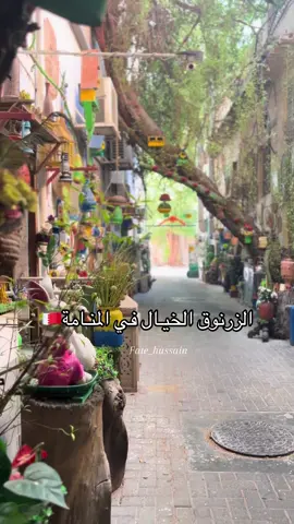 الزرنوق في المنامة فريق الفاضل🥹 ابداع و للامانه اكتشفناه صدفة و حتى المناميين مو الكل يعرفه🤍 #المنامة #البحرين #bahrain #manama #زرانيق_المنامة 