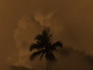 تذَكرْت كَل الحٌجيَ البٌينَاتنْـــــــــهْ ..🎧🤎 . . . . . . . . . . . . . . . . . . . . . . . .. . . . . . . . . . . . . . . . . . . . . . . .. . . . . . . . . . . . . . . . . . . . . . . . #سيد_فاقد #السلام_عليك_يااباعبد_الله_الحسين #تصميم_فيديوهات🎶🎤🎬 #creatorsearchinsights #fyp 