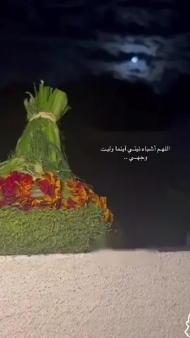 اللهم أشباه نيتي أينما وليت وجهـي 🍂🤎#خواطر #عبارات #كلمات #ليل  #قمر 