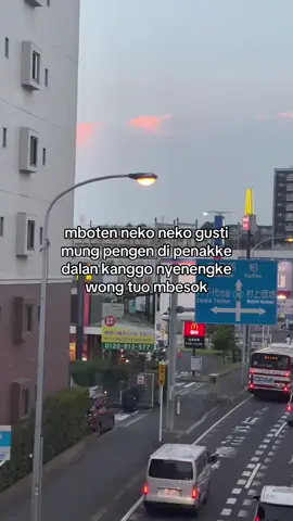 #prosesjepang🇯🇵 #kenshuseijapan🇮🇩🇯🇵🎌 #fyp #jishusei🇯🇵🇲🇨 #4u 