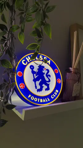 Chelsea FC ⚽️ ✨ #chelseafc #chelseafans #footballfans 