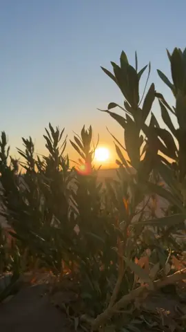 #النفس #ال #اكسبلور 